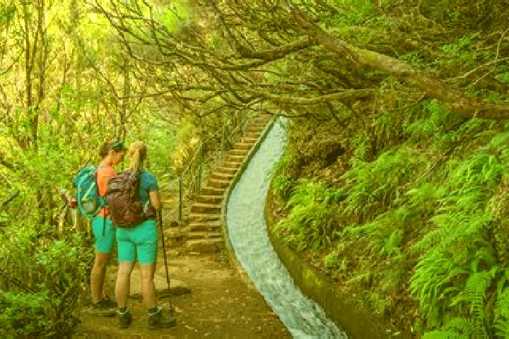 escort Covolo-Levada