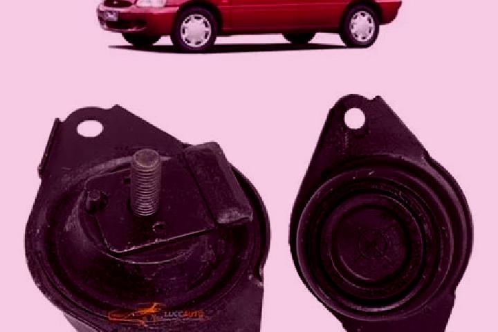 escort Coxim