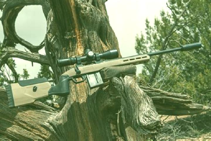 escort Creedmoor