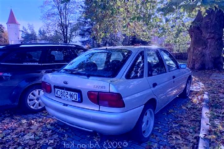 escort Criuleni