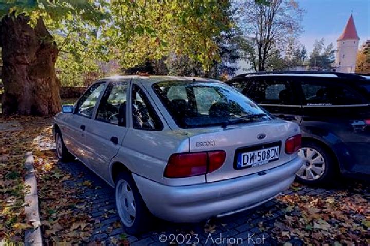 escort Dachne