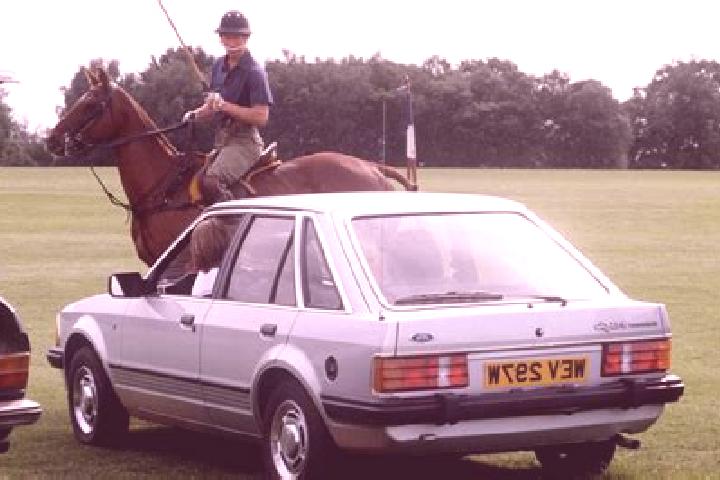 escort Dado