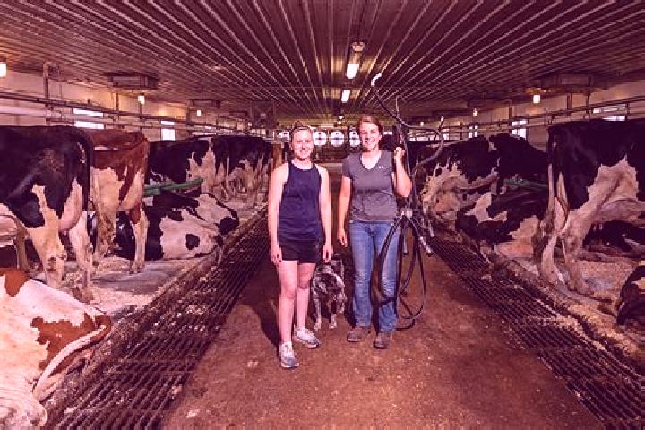 escort Dairy Farm