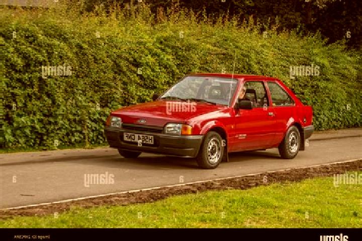 escort Dalby