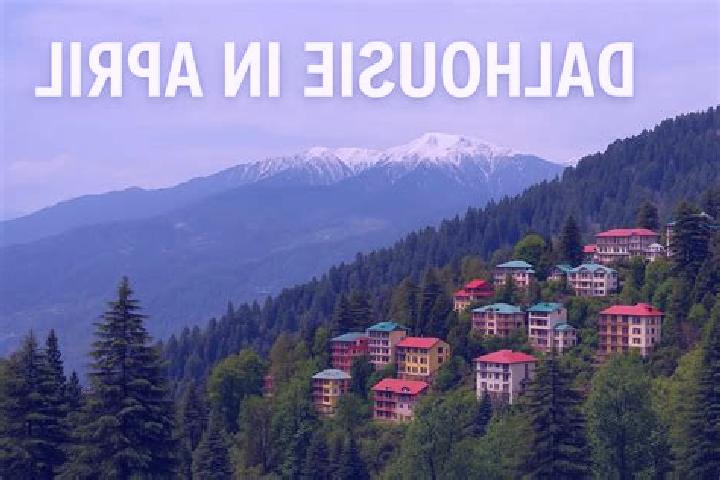 escort Dalhousie