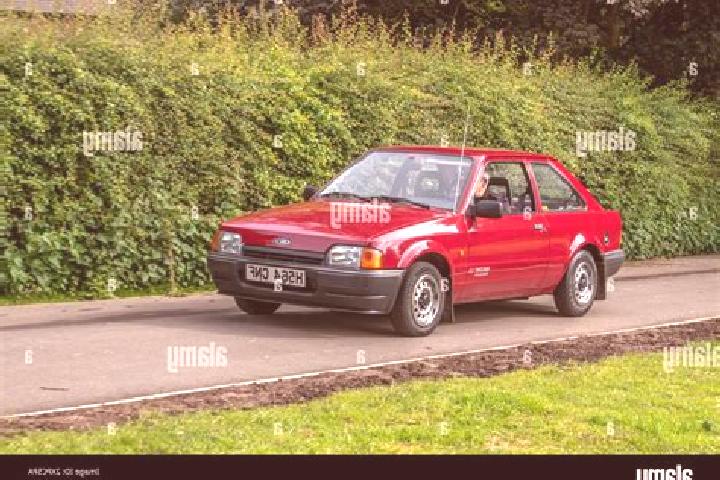 escort Dalston