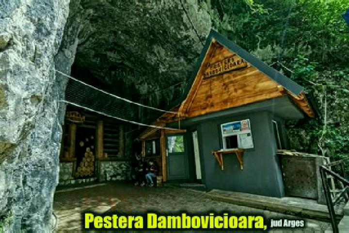 escort Dambovicioara