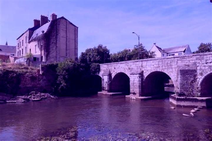 escort Damigny