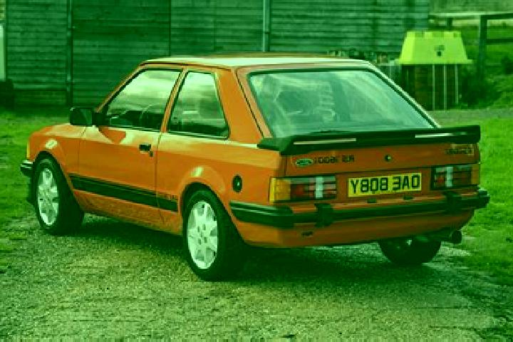 escort Damp