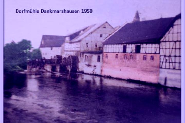 escort Dankmarshausen