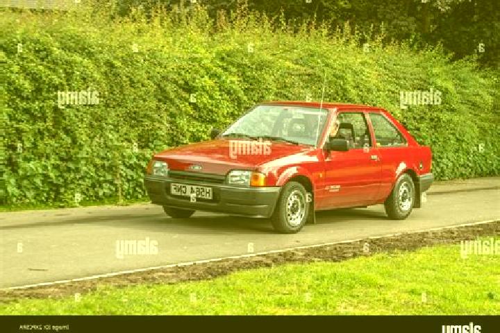 escort Dargomysl