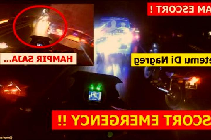 escort Dari