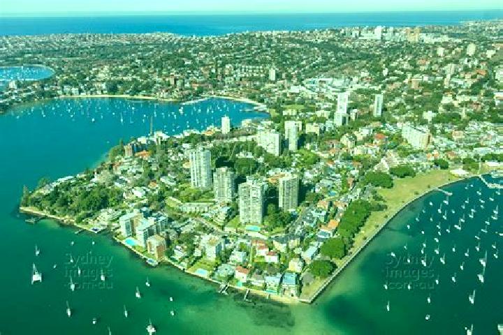 escort Darling Point