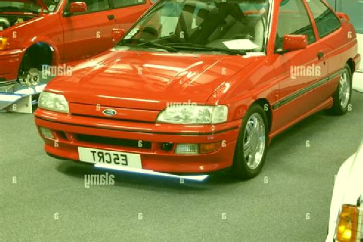 escort Darton