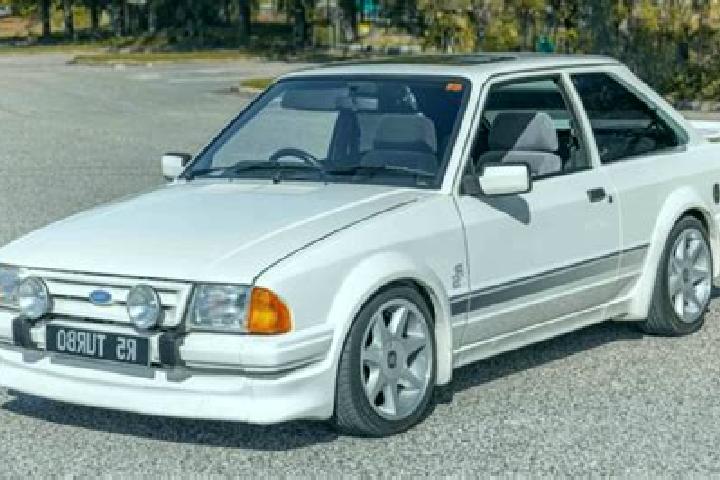 escort Datuo