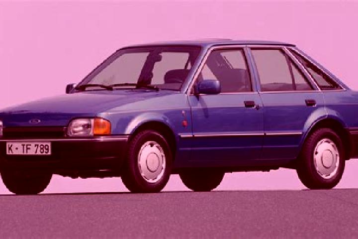escort De Noord