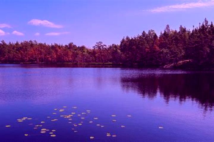 escort Deer Lake