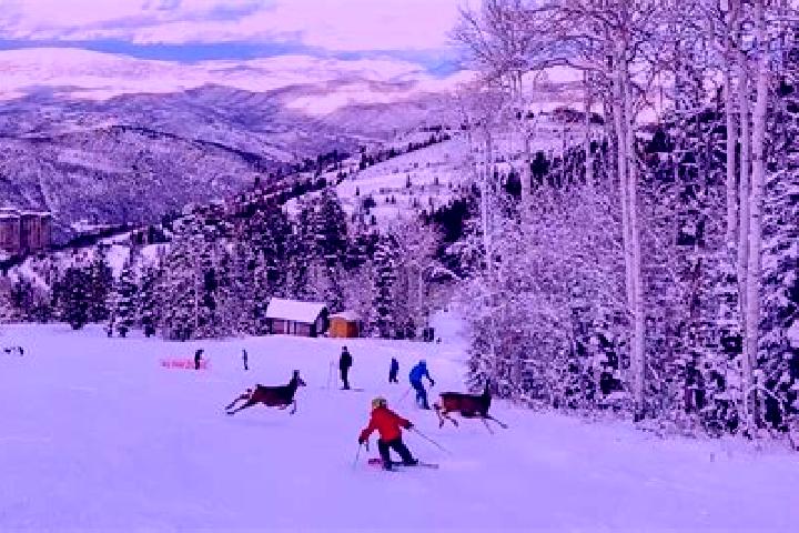 escort Deer Valley