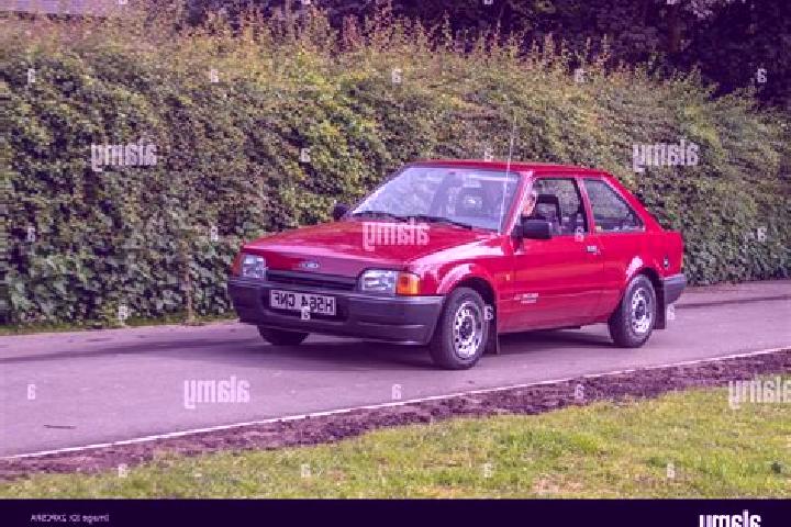 escort Deidesheim