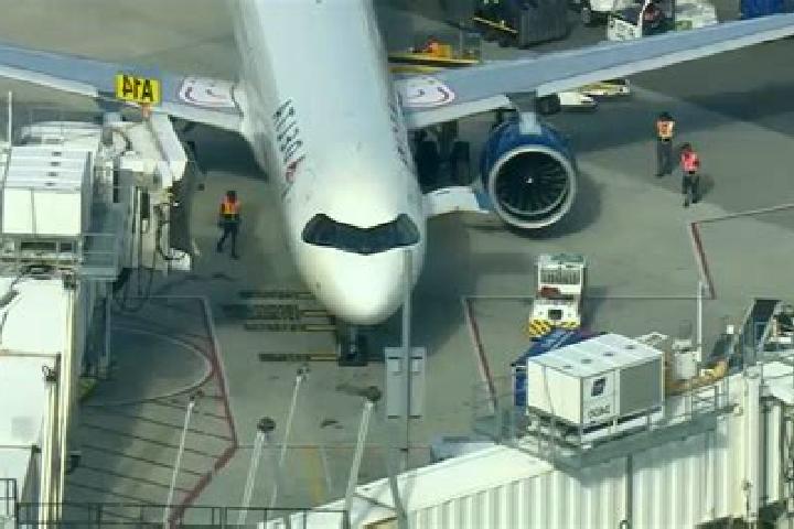 escort Delta