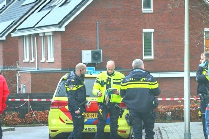 escort Den Dolder