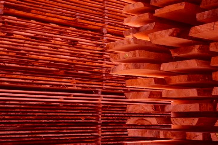 escort Den Hout