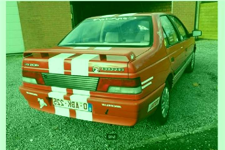 escort Denderleeuw