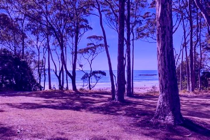 escort Denhams Beach