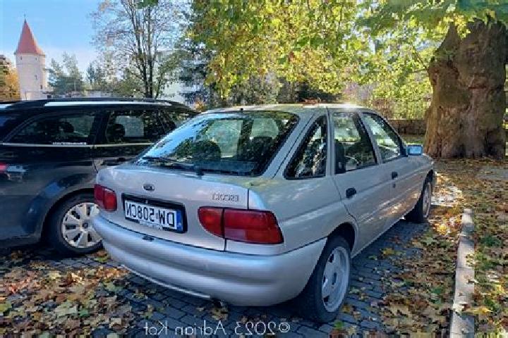 escort Denno