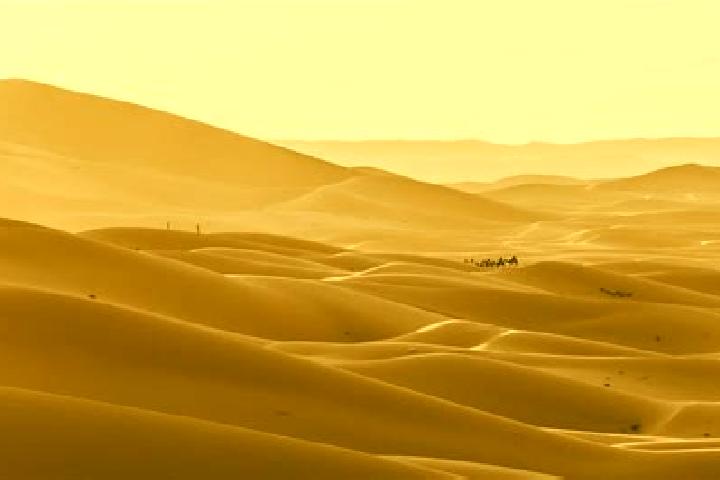 escort Deserto