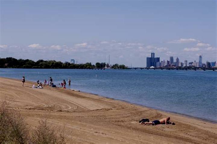 escort Detroit Beach