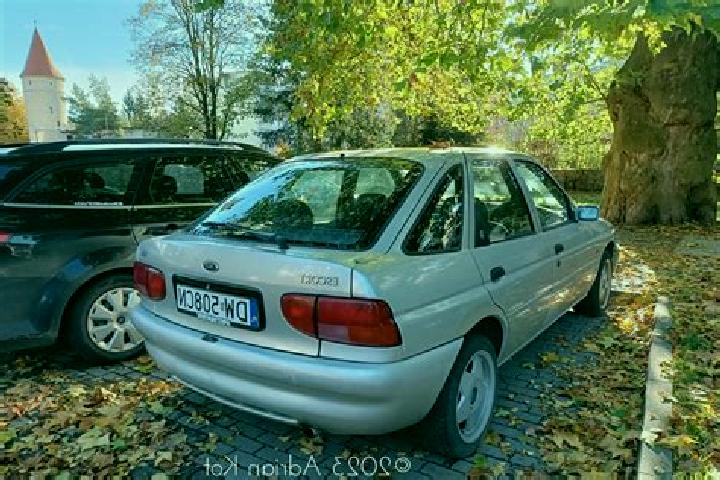 escort Detung