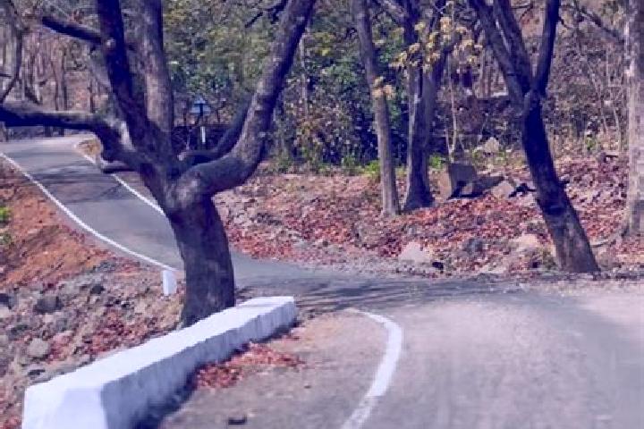 escort Devgadh Bariya