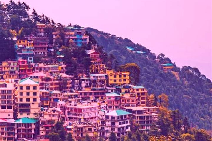 escort Dharamsala