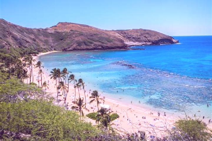 escort Diamond Head / Kapahulu / Saint Louis Heights
