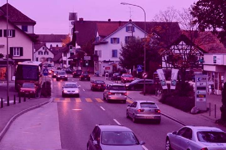 escort Dielsdorf