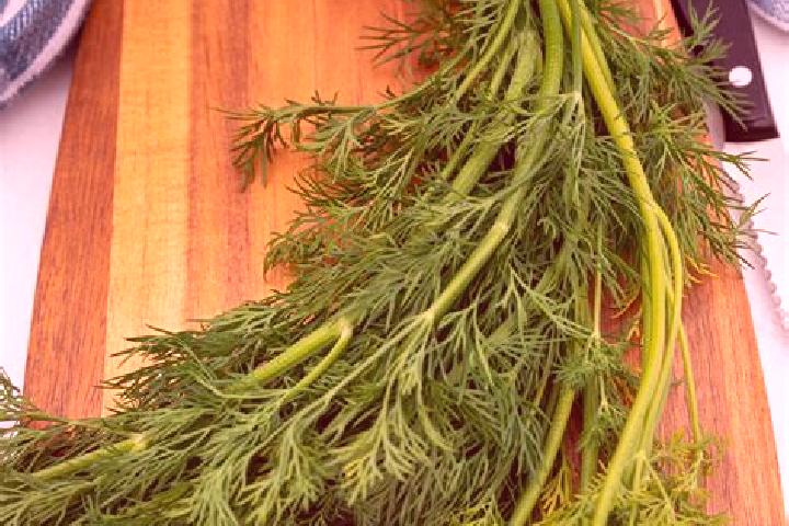 escort Dill