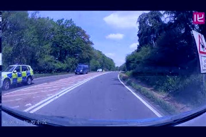 escort Dinmore