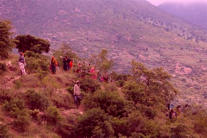 escort Dire Dawa