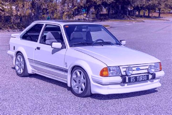 escort Dobric