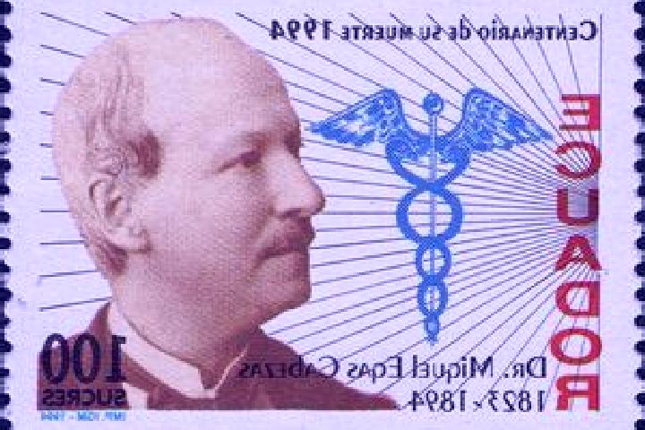 escort Doctor Miguel Egas Cabezas