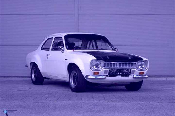 escort Dogaletto