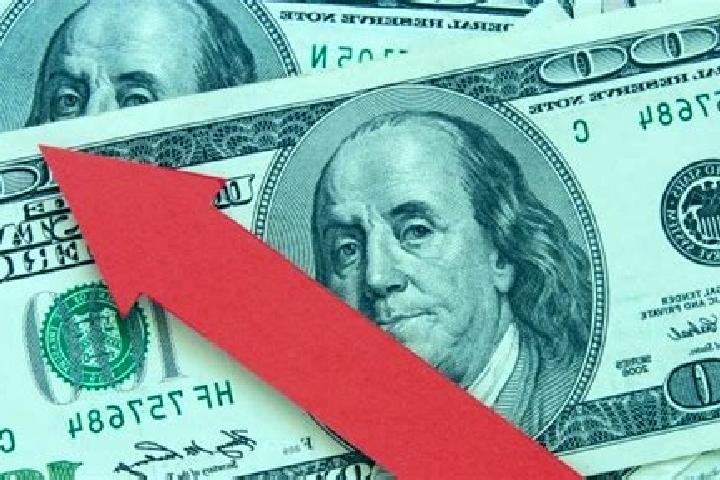 escort Dolar