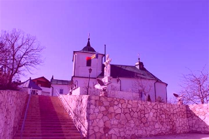 escort Dolna Mitropolia