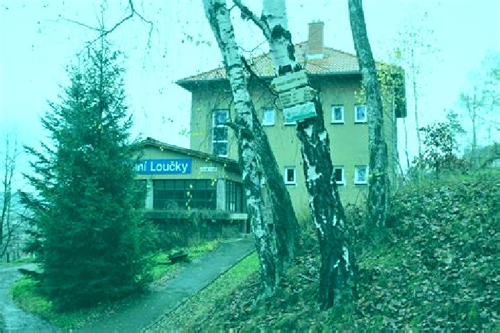 escort Dolni Loucky
