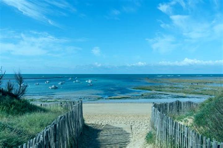 escort Dolus-d Oleron