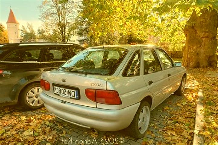 escort Dolynivka