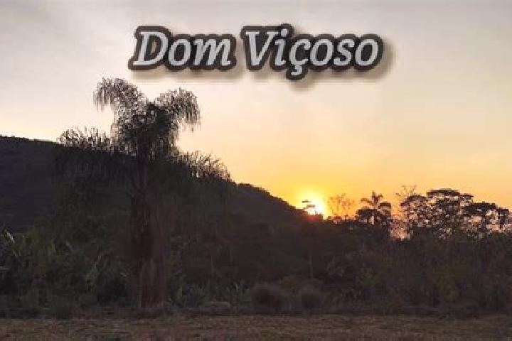 escort Dom Vicoso