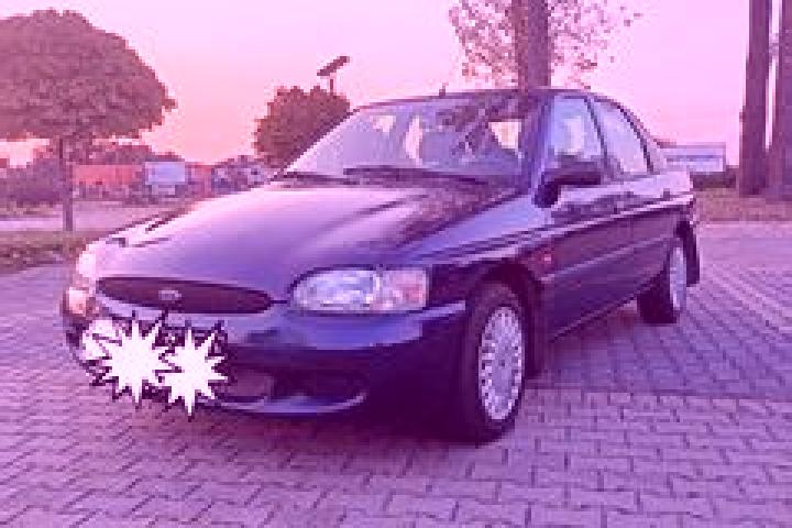escort Domaniewice