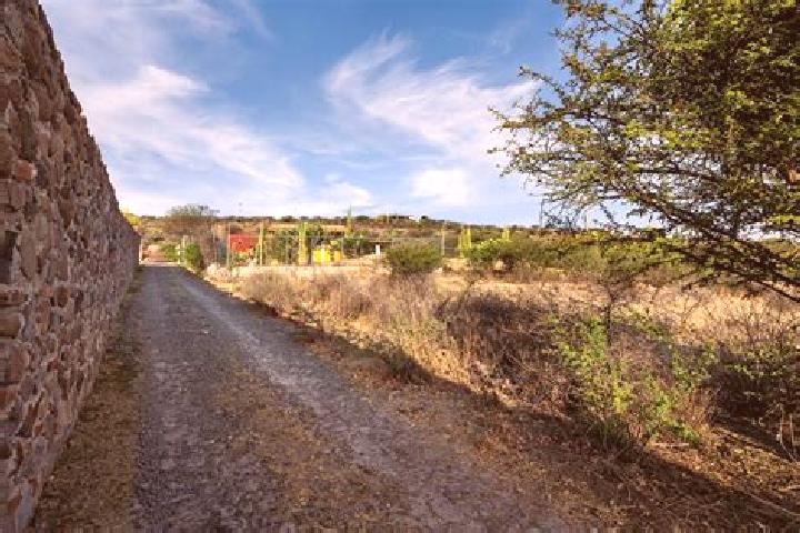 escort Don Juan Xido de Abajo (Cabras de Begona)